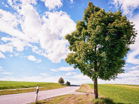 contry road at the alpsの写真素材