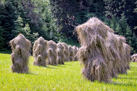 old-fashioned haystack at a fieldの写真素材