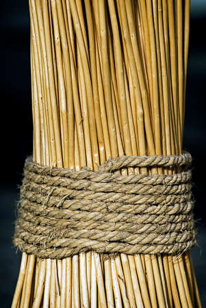 reed  and a string - background pattern