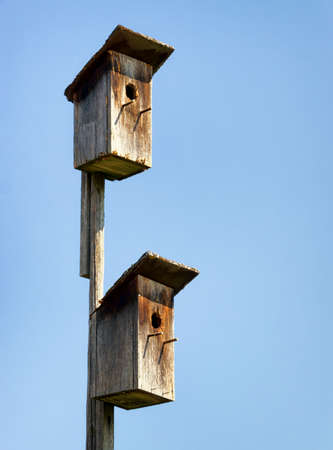 old bird houses at a farmの写真素材