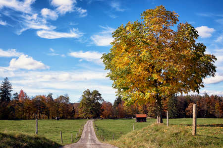 country road at the european alpsの写真素材