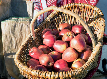 apples in an oldfashioned basketの写真素材