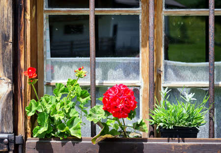 window of a typical old austrian farmhouseの写真素材