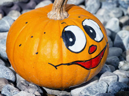 beautiful halloween pumpkin - close upの写真素材