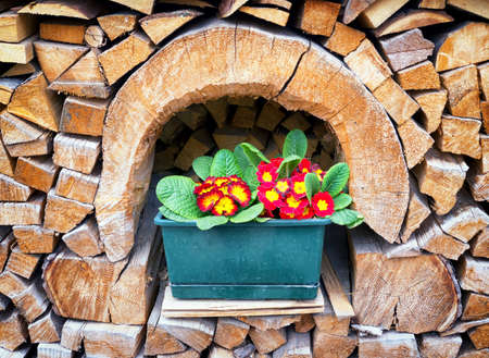 firewood at a farm - nice backgroundの写真素材