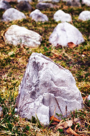 curves of rocks at a meadowの写真素材