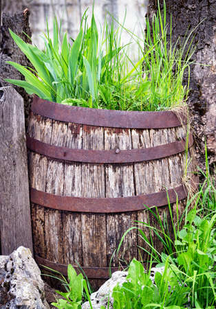 old wooden wine cask at a farmhouse