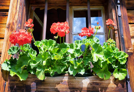 window of a typical old austrian farmhouseの写真素材