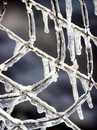 icicles at a wire mesh - background patternの写真素材