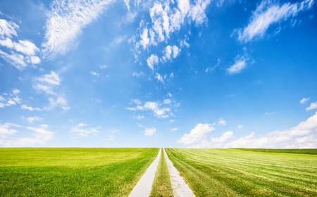 dirt road at the european alpsの写真素材