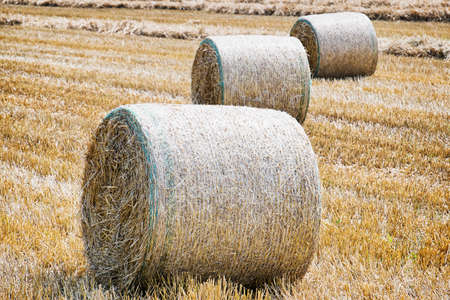 haybales at a field - photoの写真素材