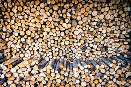 heap of firewood and tree trunksの写真素材