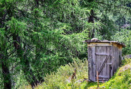 old wooden outhouse at a forestの写真素材