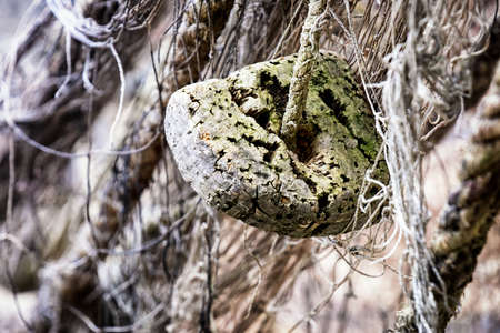 close-up of an old fishing netの写真素材