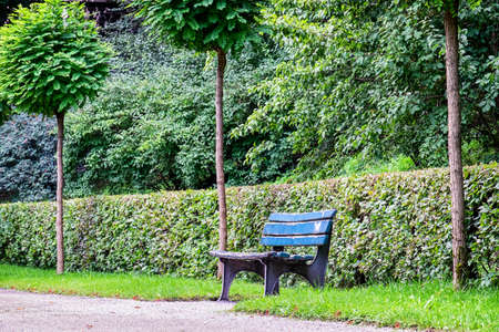 wooden park bench at a parkの写真素材