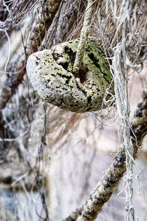close-up of an old fishing netの写真素材