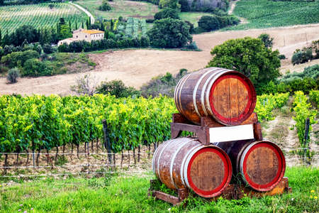 wine casks at the tuscany at a vineyardの写真素材