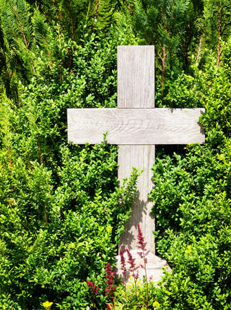 old wooden cross at a bushの写真素材