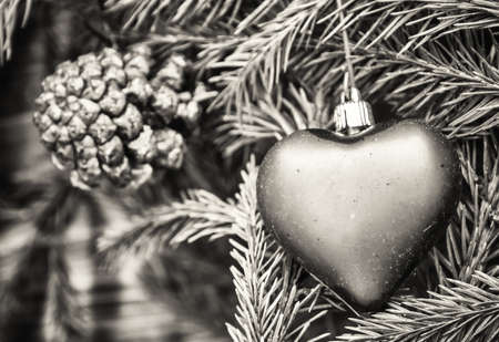 christmas bauble - christmas decoration - closeupの写真素材