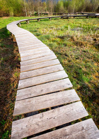 wooden gardenpath at a meadowの写真素材
