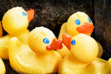 group of smiling rubber ducks