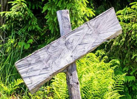 blank sign with space for text - photoの写真素材