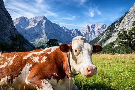 karwendel mountains in austria - small valley called eng almの写真素材