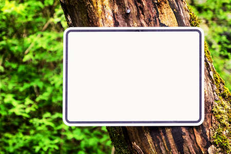 blank sign with space for text - photoの写真素材