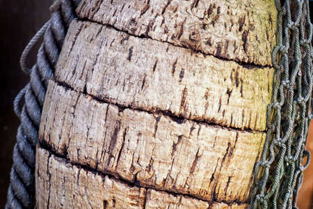 old buoy at a harborの写真素材