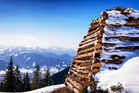 heap of tree trunks for a typichal easterfireの写真素材