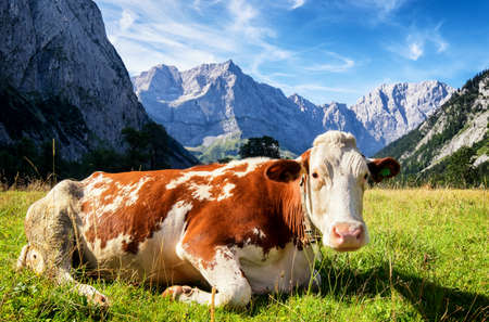 karwendel mountains in austria - small valley called eng almの写真素材