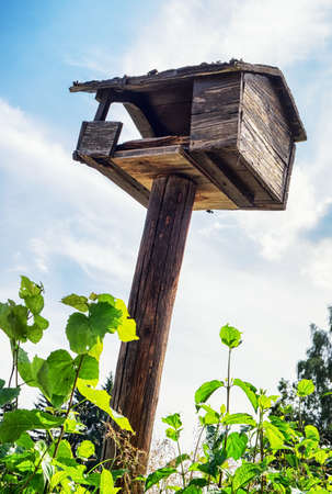 typical wooden birdhouse - closeup - photoの写真素材