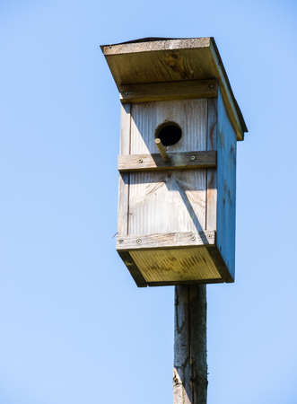 typical wooden birdhouse - closeup - photo