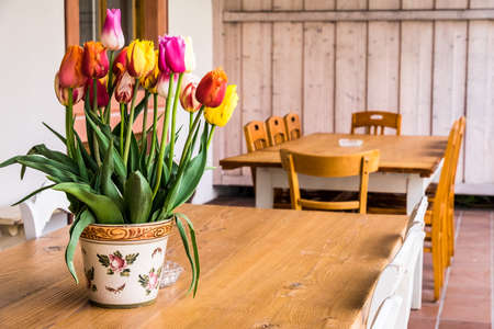 flower at an old table and chairの写真素材