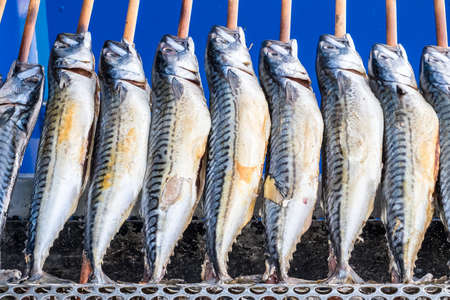 typical bavarian fish on a stick at the oktoberfest - germanyの写真素材