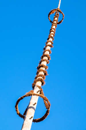 typical bavarian maypole in front of blue skyの写真素材
