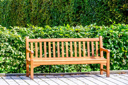 wooden park bench at a park