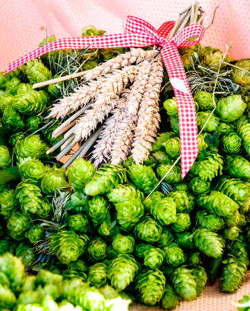 wreath made of hops - photoの写真素材