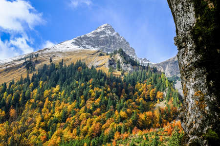 karwendel mountains in austria - small valley called eng almの写真素材