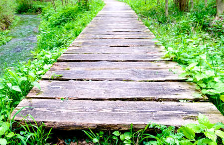 wooden gardenpath at a meadowの写真素材
