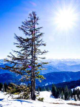brauneck mountain near bad toelz - bavariaの写真素材
