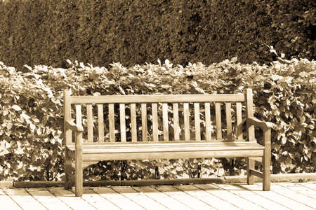 wooden park bench at a parkの写真素材