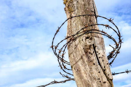 barbed wire at an old fenceの写真素材