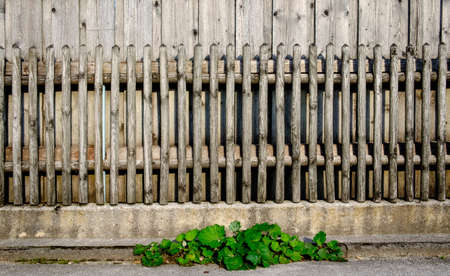 part of an old fence - close-upの写真素材