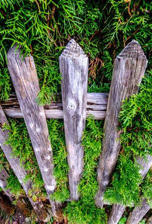 part of an old fence - close-upの写真素材