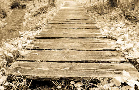 wooden gardenpath at a meadow