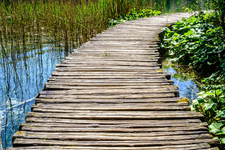 old wooden footpath at a forestの写真素材