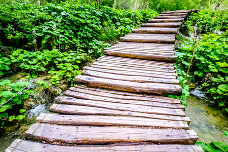 old wooden footpath at a forestの写真素材