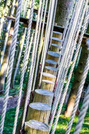 high ropes course at a forestの写真素材