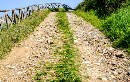 dirt road at a meadowの写真素材